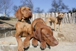 Kessy, Meggie a Lara
