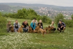 Štěňata vrhu 'A' CHS Artemis Morávia s Meggie a Dakotou