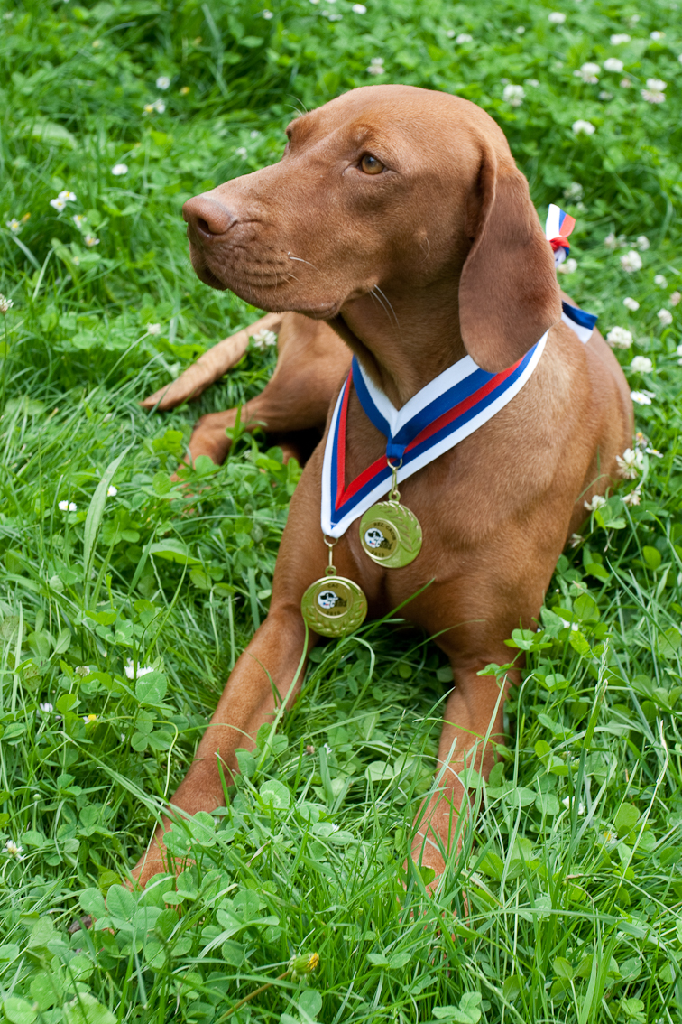 Meggie- MVP Brno, CAC, res. CACIB