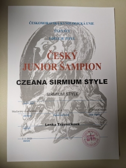 Junior šampion